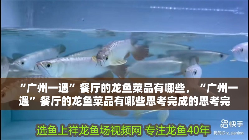 “廣州一遇”餐廳的龍魚菜品有哪些，“廣州一遇”餐廳的龍魚菜品有哪些思考完成的思考完成