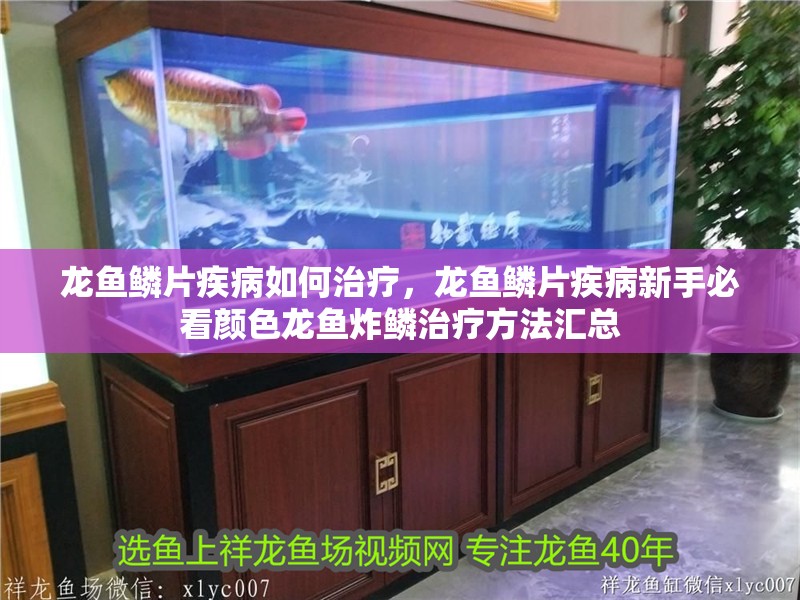 龍魚鱗片疾病如何治療,龍魚鱗片疾病新手必看顏色龍魚炸鱗治療方法匯總