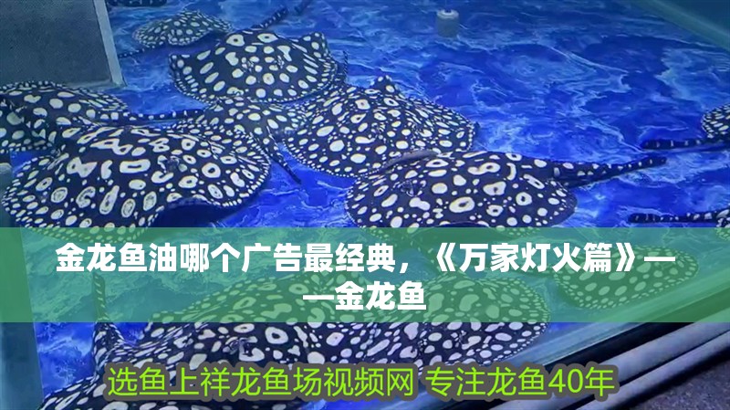 金龍魚油哪個廣告最經典，《萬家燈火篇》——金龍魚