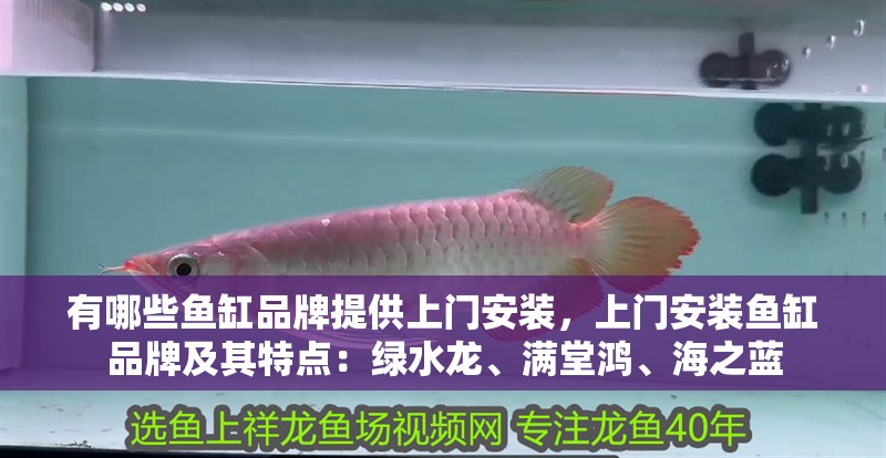 有哪些魚缸品牌提供上門安裝，上門安裝魚缸品牌及其特點：綠水龍、滿堂鴻、海之藍
