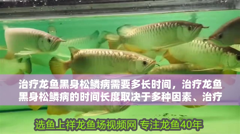 治療龍魚黑身松鱗病需要多長時間，治療龍魚黑身松鱗病的時間長度取決于多種因素、治療方法的選擇
