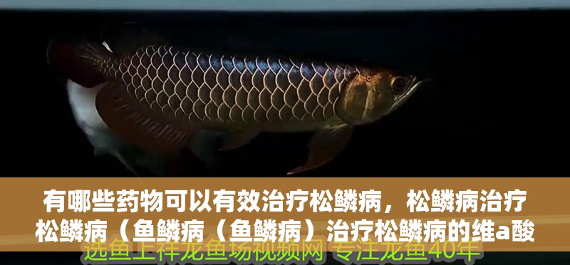 有哪些藥物可以有效治療松鱗病，松鱗病治療松鱗病（魚鱗病（魚鱗病）治療松鱗病的維a酸類藥物