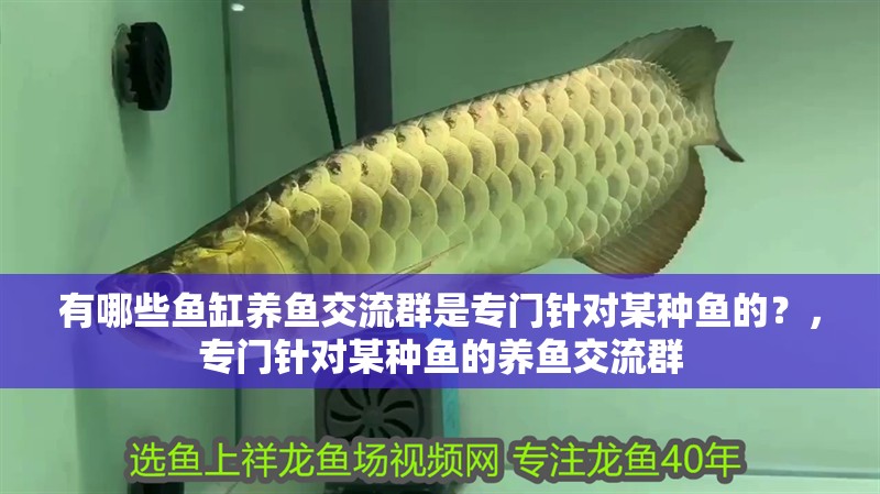 有哪些魚缸養魚交流群是專門針對某種魚的？，專門針對某種魚的養魚交流群