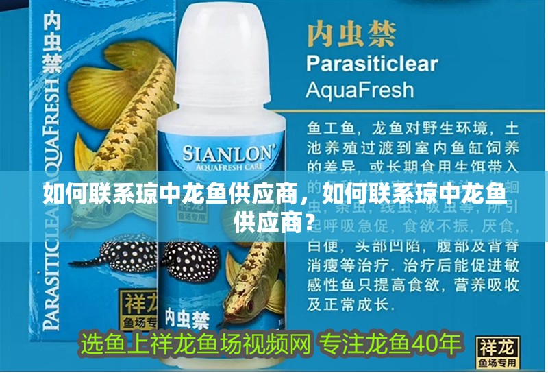 如何聯系瓊中龍魚供應商，如何聯系瓊中龍魚供應商？