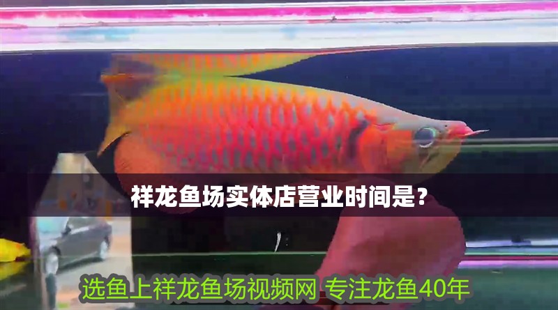 祥龍魚場實(shí)體店?duì)I業(yè)時(shí)間是?