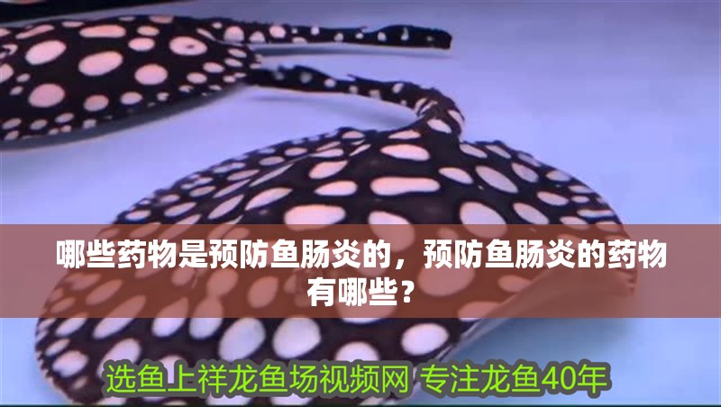哪些藥物是預防魚腸炎的，預防魚腸炎的藥物有哪些？