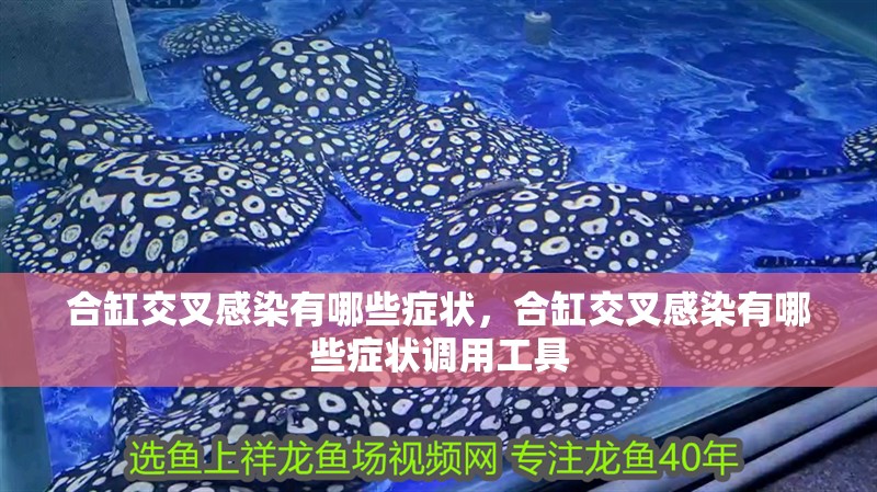 合缸交叉感染有哪些癥狀，合缸交叉感染有哪些癥狀調(diào)用工具