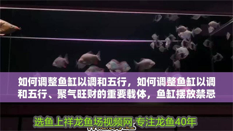 如何調整魚缸以調和五行，如何調整魚缸以調和五行、聚氣旺財的重要載體，魚缸擺放禁忌