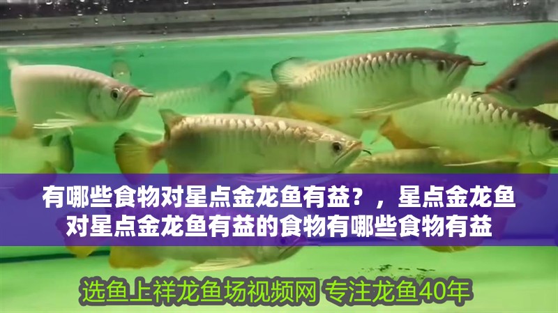 有哪些食物對星點金龍魚有益？，星點金龍魚對星點金龍魚有益的食物有哪些食物有益