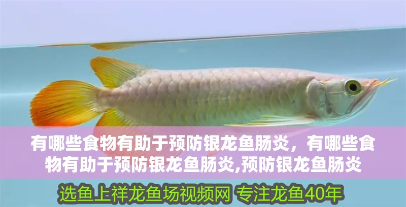 有哪些食物有助于預防銀龍魚腸炎，有哪些食物有助于預防銀龍魚腸炎,預防銀龍魚腸炎