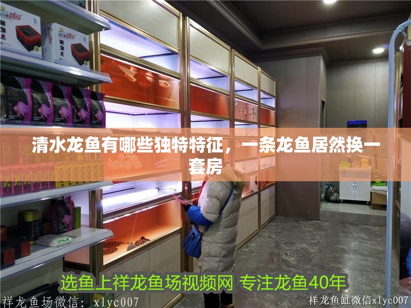 清水龍魚有哪些獨(dú)特特征,一條龍魚居然換一套房