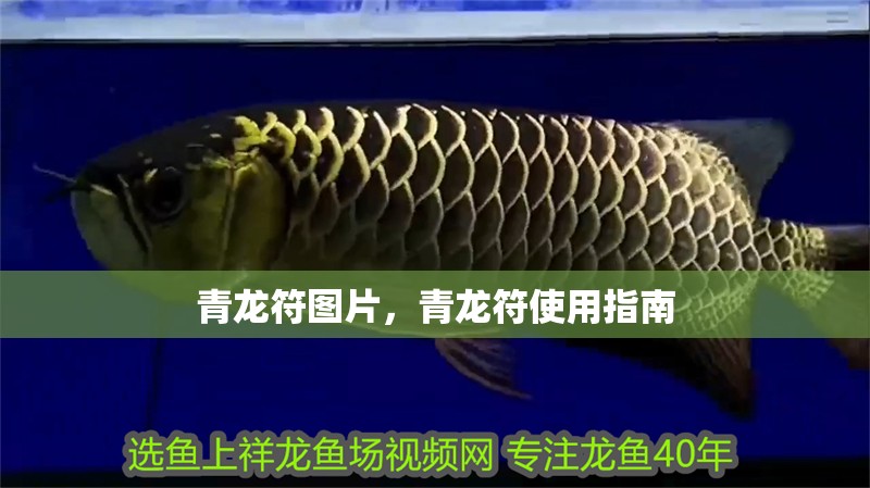 青龍符圖片，青龍符使用指南