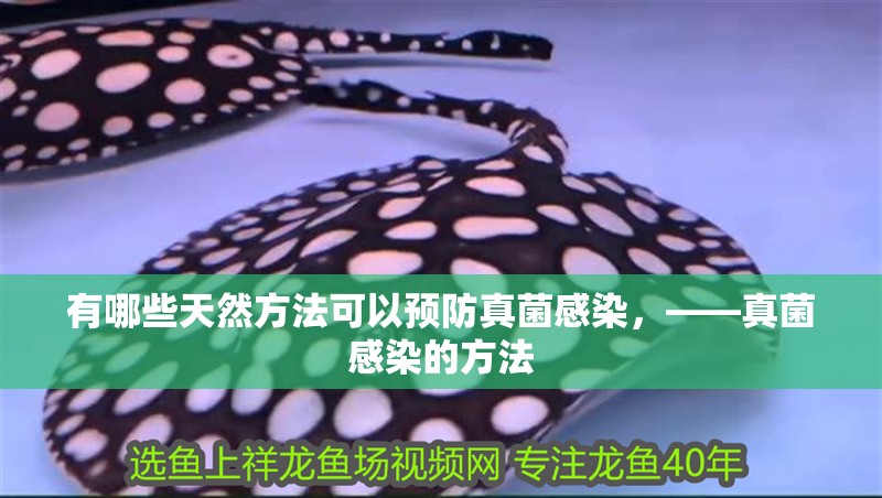 有哪些天然方法可以預(yù)防真菌感染，——真菌感染的方法