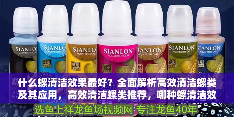 什么螺清潔效果最好？全面解析高效清潔螺類及其應用，高效清潔螺類推薦，哪種螺清潔效果最佳？ 什么螺清潔效果最好？全面解析高效清潔螺類及其應用，高效清潔螺類推薦，哪種螺清潔效果最佳？ 龍魚百科 第1張