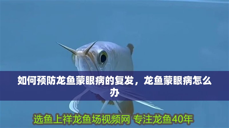 如何預防龍魚蒙眼病的復發,龍魚蒙眼病怎么辦