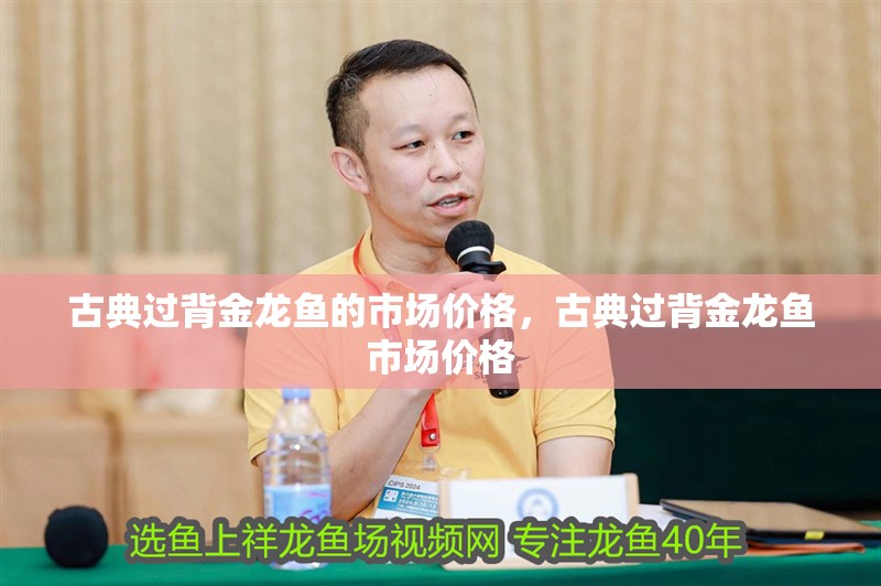 古典過背金龍魚的市場價格，古典過背金龍魚市場價格