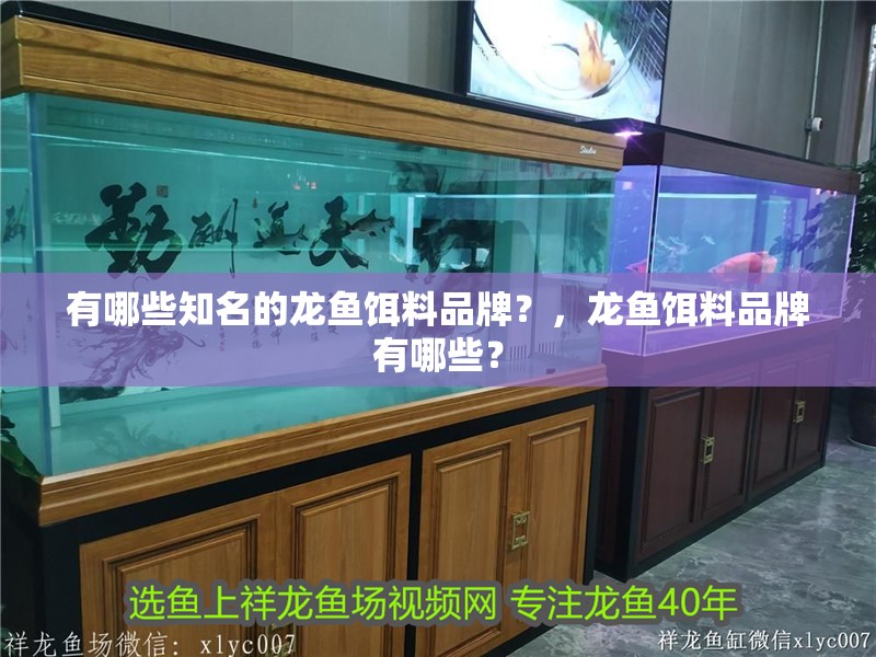 有哪些知名的龍魚餌料品牌？，龍魚餌料品牌有哪些？