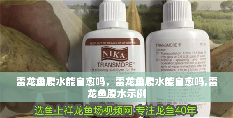雷龍魚腹水能自愈嗎，雷龍魚腹水能自愈嗎,雷龍魚腹水示例