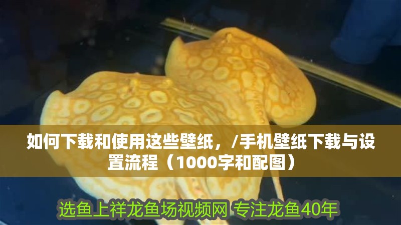 如何下載和使用這些壁紙，/手機(jī)壁紙下載與設(shè)置流程（1000字和配圖）