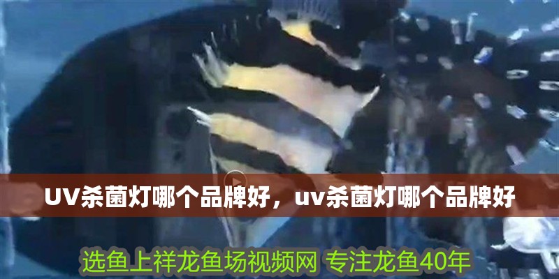 UV殺菌燈哪個品牌好，uv殺菌燈哪個品牌好