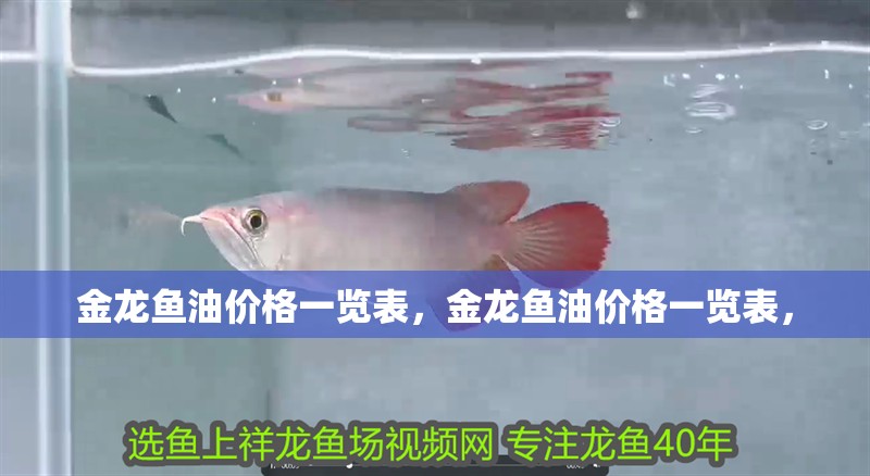 金龍魚油價格一覽表,金龍魚油價格一覽表,