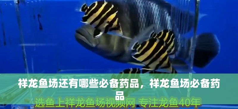 祥龍魚場還有哪些必備藥品，祥龍魚場必備藥品