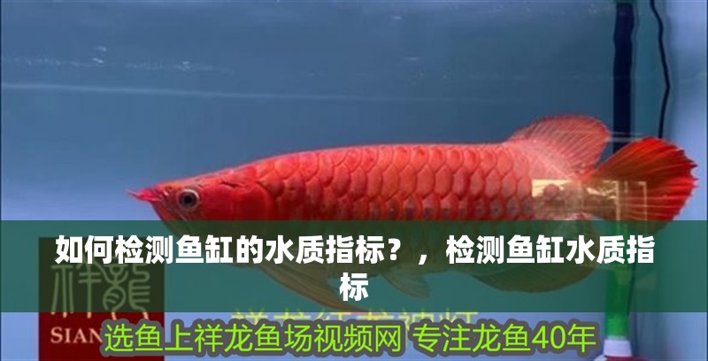 如何檢測魚缸的水質(zhì)指標(biāo)？，檢測魚缸水質(zhì)指標(biāo)