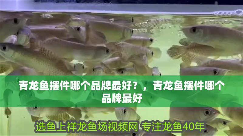 青龍魚(yú)擺件哪個(gè)品牌最好？，青龍魚(yú)擺件哪個(gè)品牌最好
