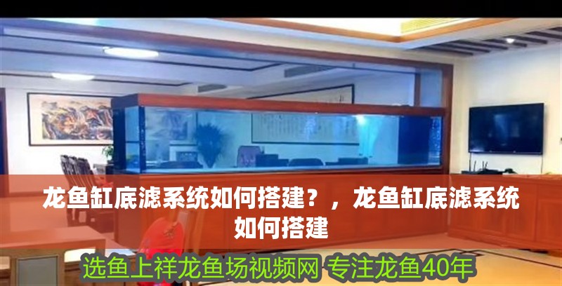 龍魚缸底濾系統如何搭建？，龍魚缸底濾系統如何搭建