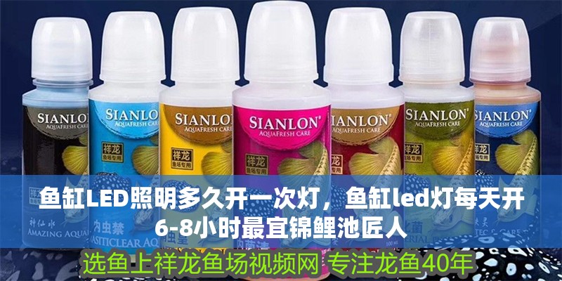 魚缸LED照明多久開一次燈，魚缸led燈每天開6-8小時最宜錦鯉池匠人