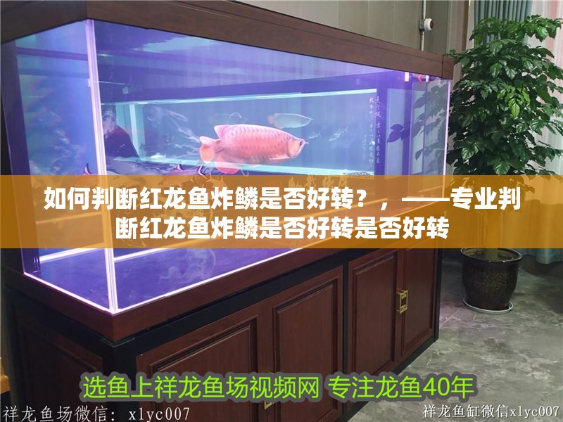 如何判斷紅龍魚炸鱗是否好轉(zhuǎn)？，——專業(yè)判斷紅龍魚炸鱗是否好轉(zhuǎn)是否好轉(zhuǎn)