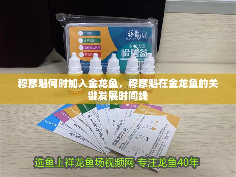 穆彥魁何時加入金龍魚，穆彥魁在金龍魚的關鍵發(fā)展時間線