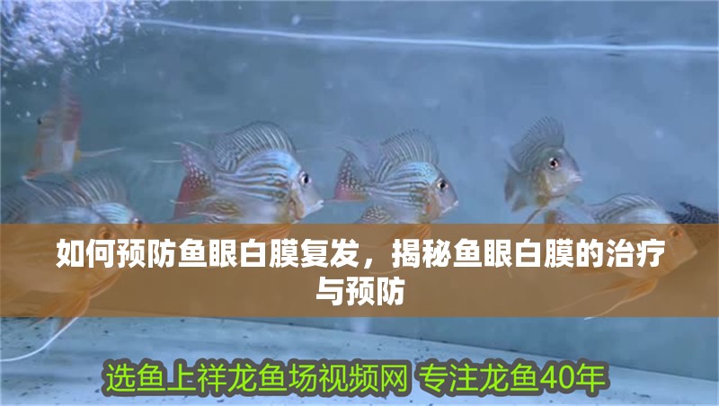 如何預防魚眼白膜復發，揭秘魚眼白膜的治療與預防