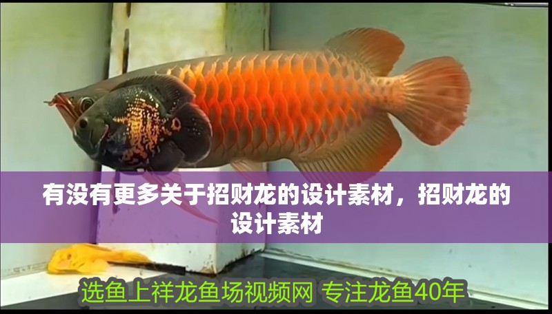 有沒有更多關于招財龍的設計素材，招財龍的設計素材