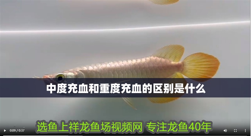 中度充血和重度充血的區別是什么