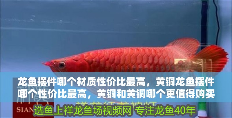 龍魚擺件哪個材質性價比最高，黃銅龍魚擺件哪個性價比最高，黃銅和黃銅哪個更值得購買