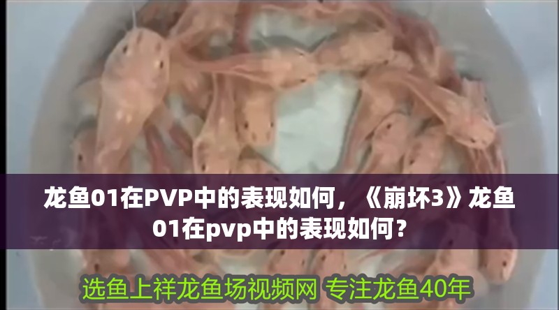 龍魚01在PVP中的表現(xiàn)如何，《崩壞3》龍魚01在pvp中的表現(xiàn)如何？