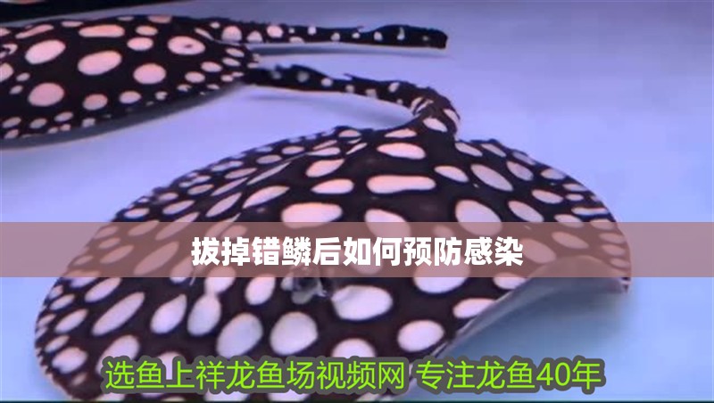 拔掉錯(cuò)鱗后如何預(yù)防感染