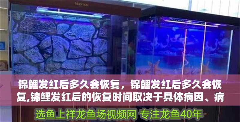 錦鯉發紅后多久會恢復，錦鯉發紅后多久會恢復,錦鯉發紅后的恢復時間取決于具體病因、病情嚴重程度以及處理措施是否及時得當