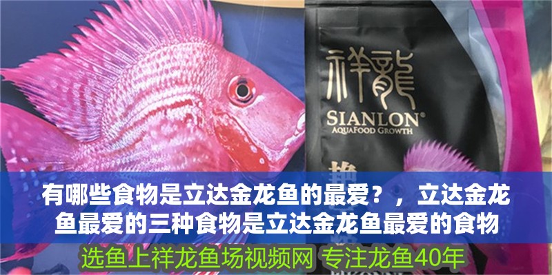 有哪些食物是立達(dá)金龍魚的最愛？，立達(dá)金龍魚最愛的三種食物是立達(dá)金龍魚最愛的食物
