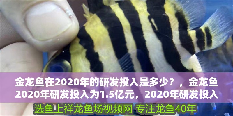 金龍魚在2020年的研發投入是多少？，金龍魚2020年研發投入為1.5億元，2020年研發投入是多少