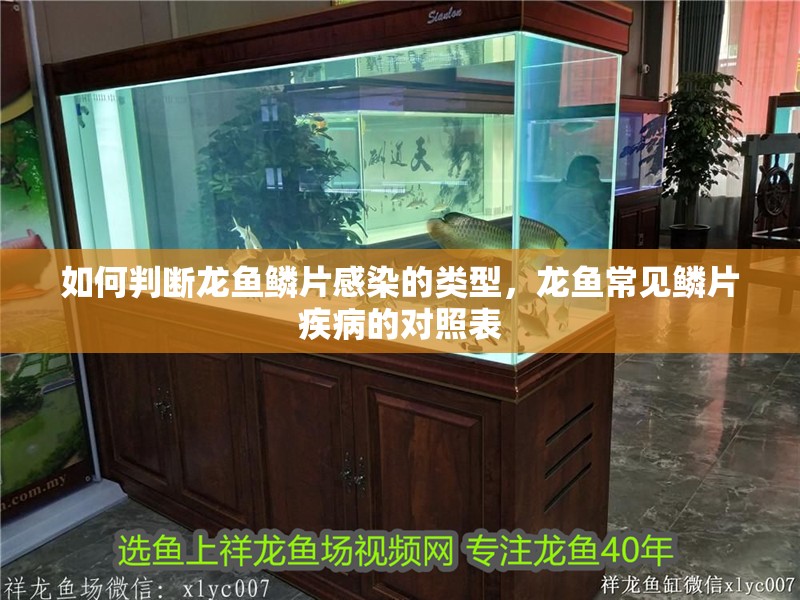 如何判斷龍魚鱗片感染的類型,龍魚常見鱗片疾病的對照表