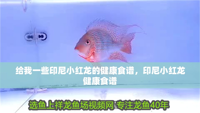 給我一些印尼小紅龍的健康食譜，印尼小紅龍健康食譜