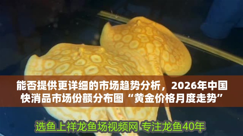能否提供更詳細(xì)的市場(chǎng)趨勢(shì)分析，2026年中國(guó)快消品市場(chǎng)份額分布圖“黃金價(jià)格月度走勢(shì)”