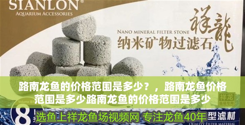 路南龍魚的價格范圍是多少？，路南龍魚價格范圍是多少路南龍魚的價格范圍是多少