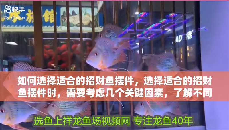 如何選擇適合的招財魚擺件，選擇適合的招財魚擺件時，需要考慮幾個關鍵因素，了解不同種類的含義和寓意