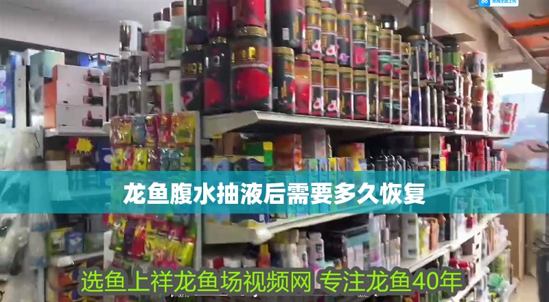 龍魚腹水抽液后需要多久恢復