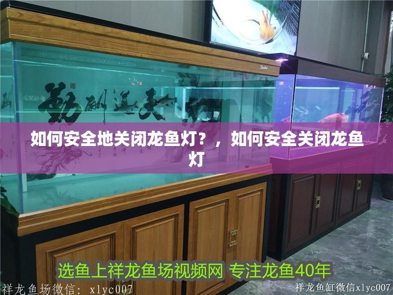 如何安全地關閉龍魚燈？，如何安全關閉龍魚燈