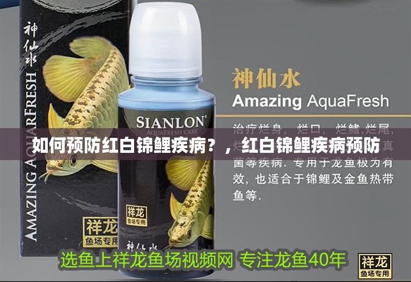 如何預防紅白錦鯉疾病？，紅白錦鯉疾病預防