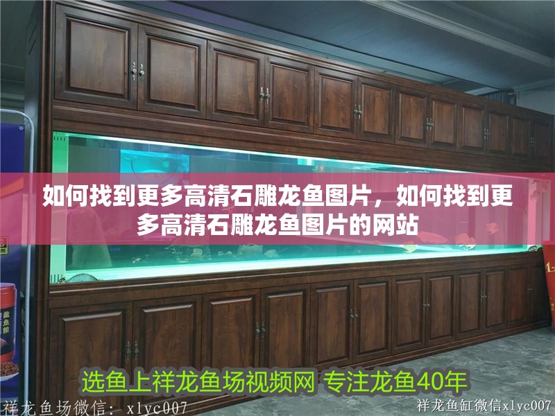如何找到更多高清石雕龍魚圖片，如何找到更多高清石雕龍魚圖片的網站